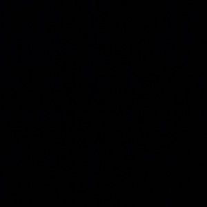 Meet your Posher, Jake